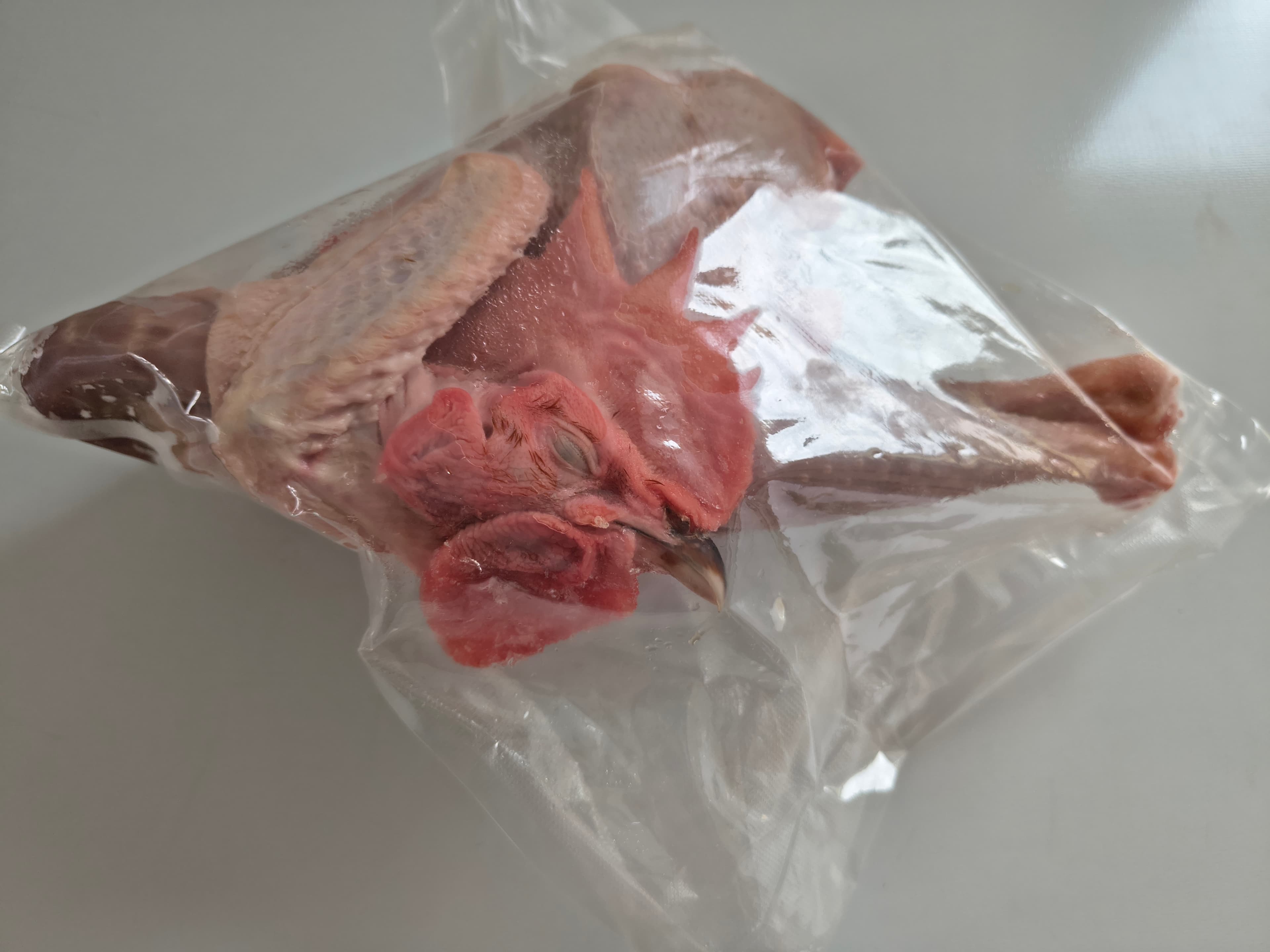 Fiatal kakas