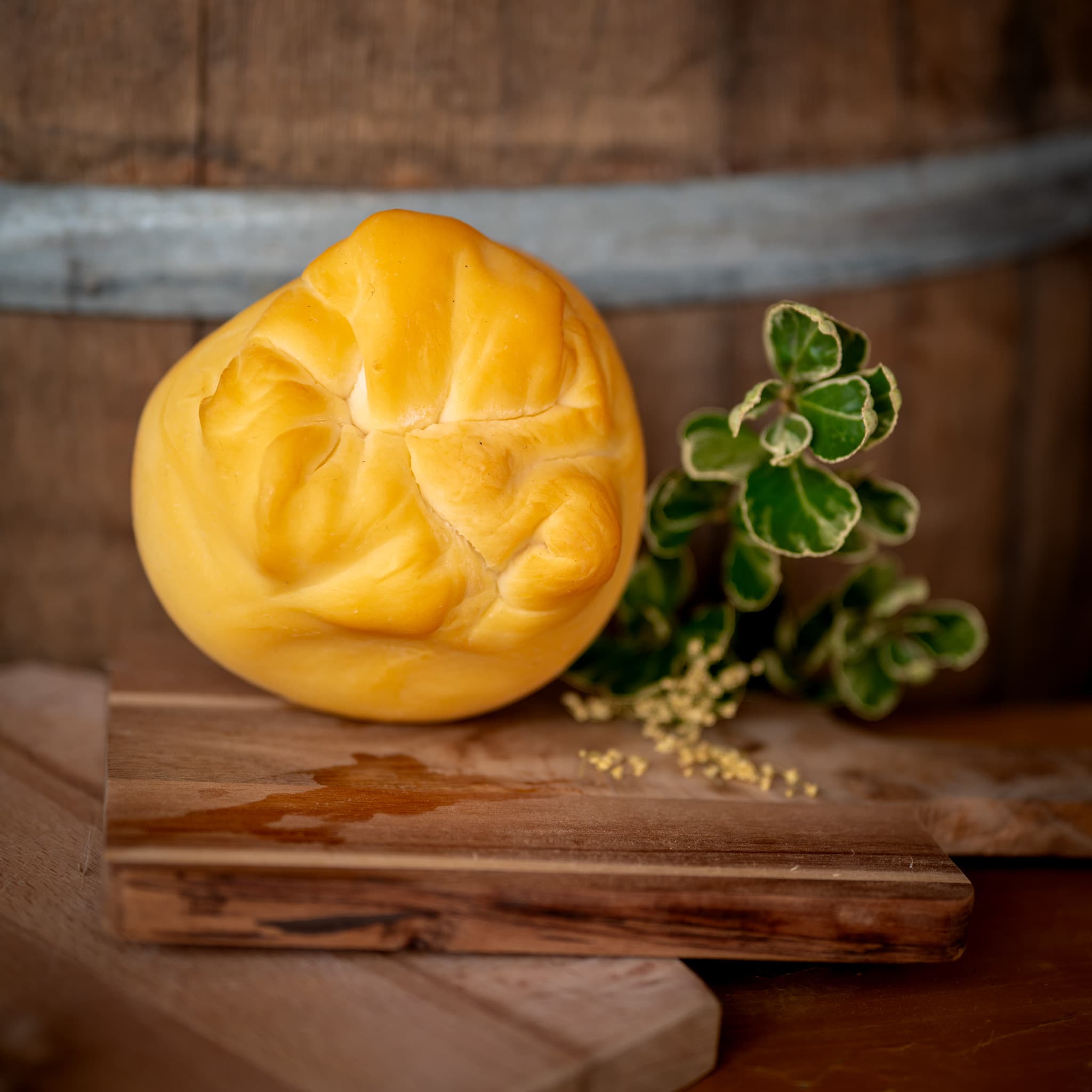 Scamorza