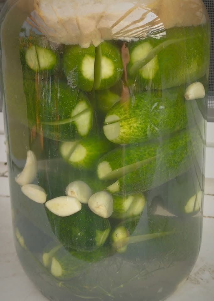 Kovászos vegyes zöldség cukkini, fokhagyma, répa