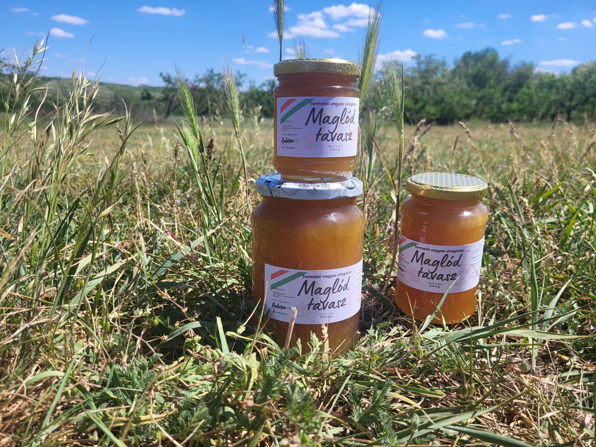 Maglód Tavasza méz – 500 g - 3