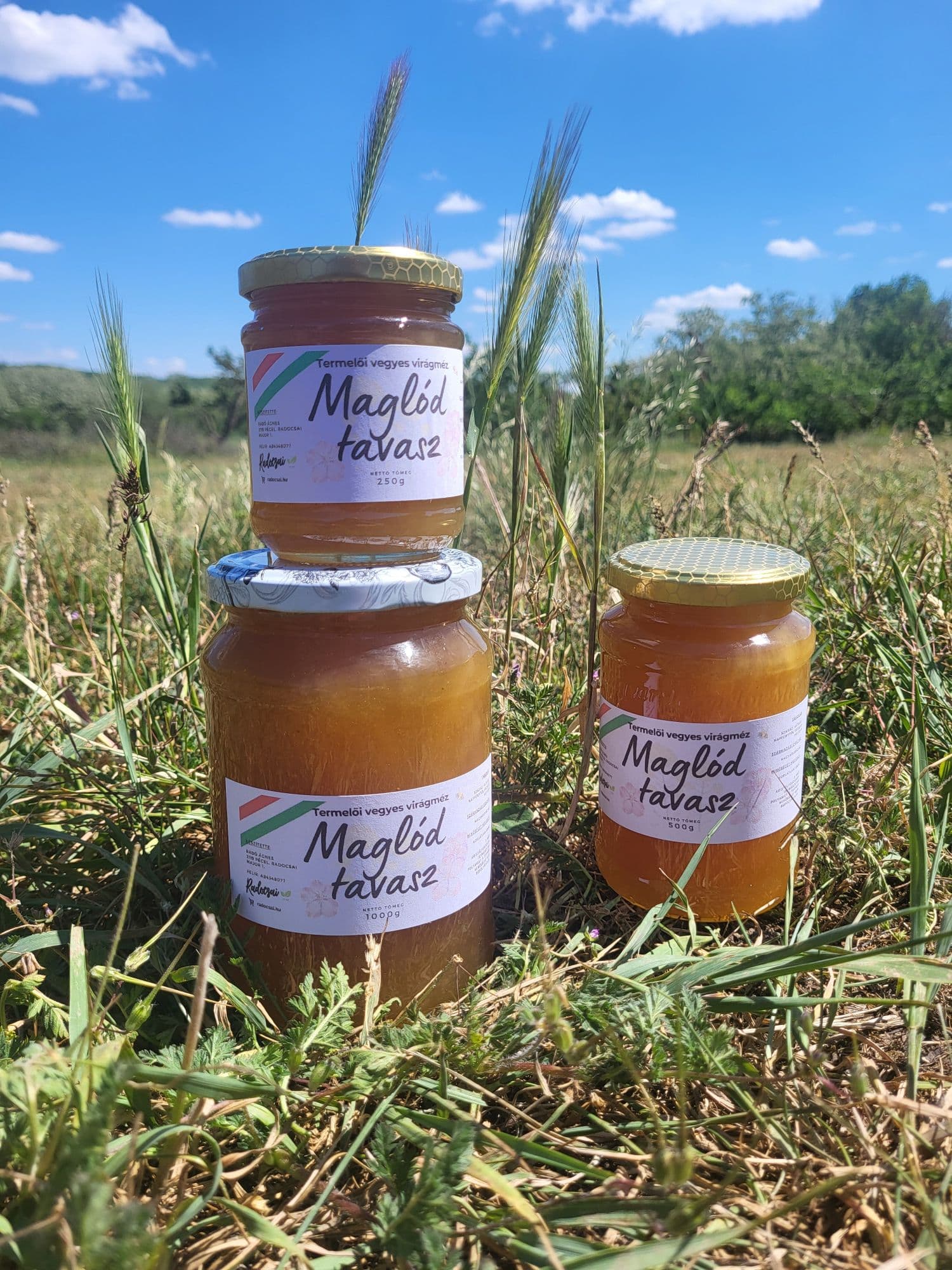 Maglód Tavasz méz – 250 g - 3