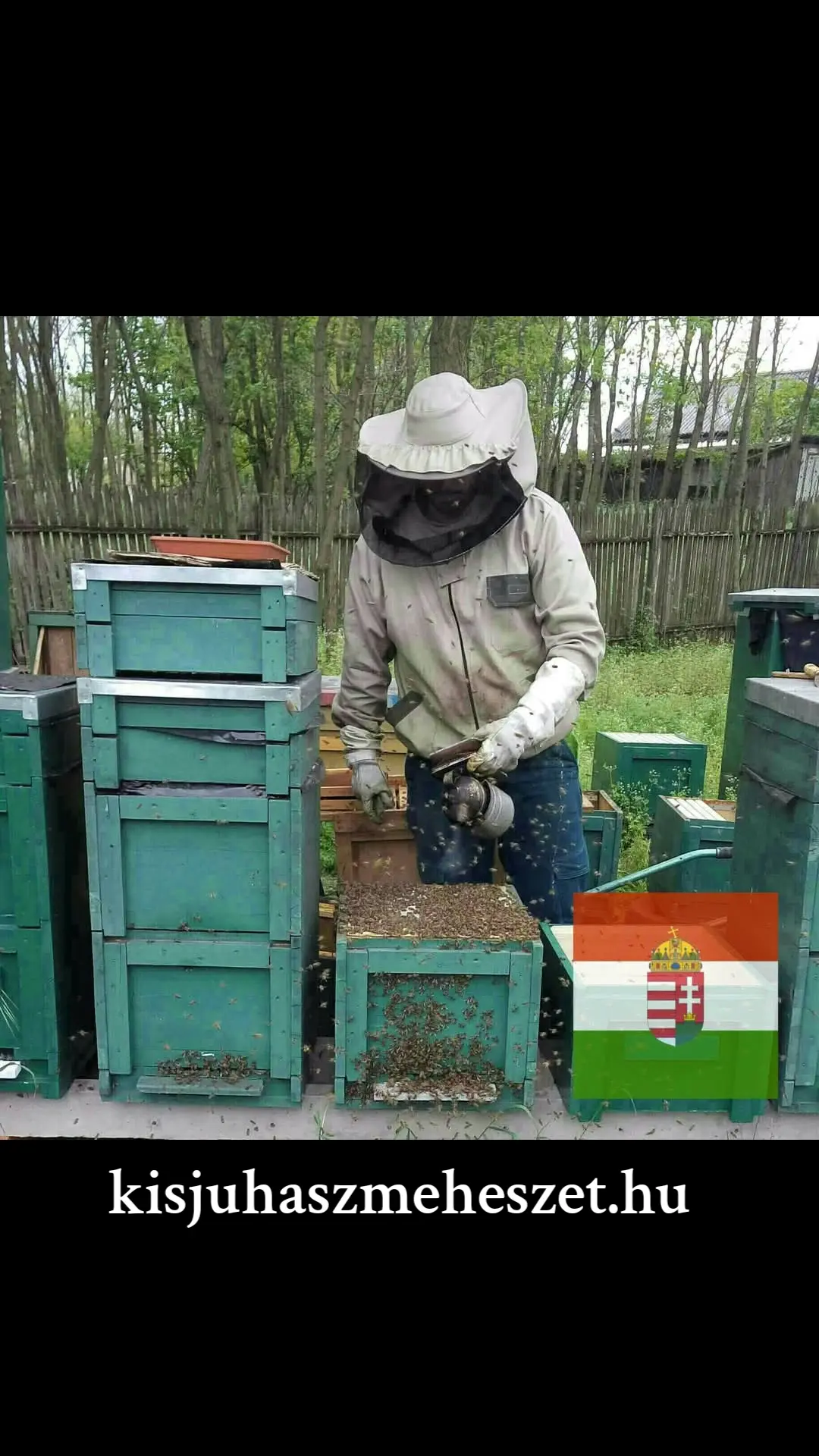 Kisjuhász Méhészet Ladánybene logo