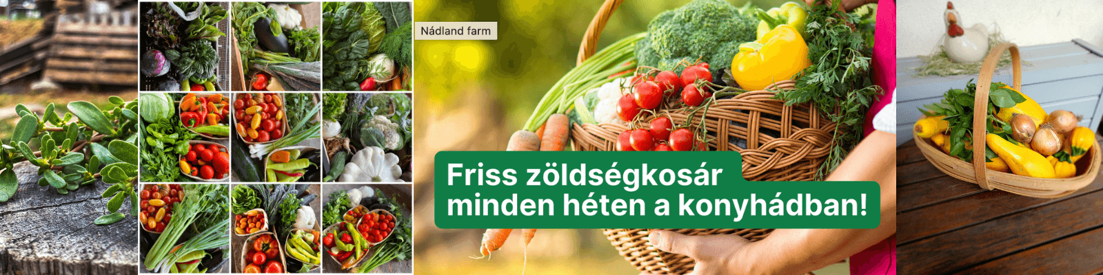 Nádland Farm cover