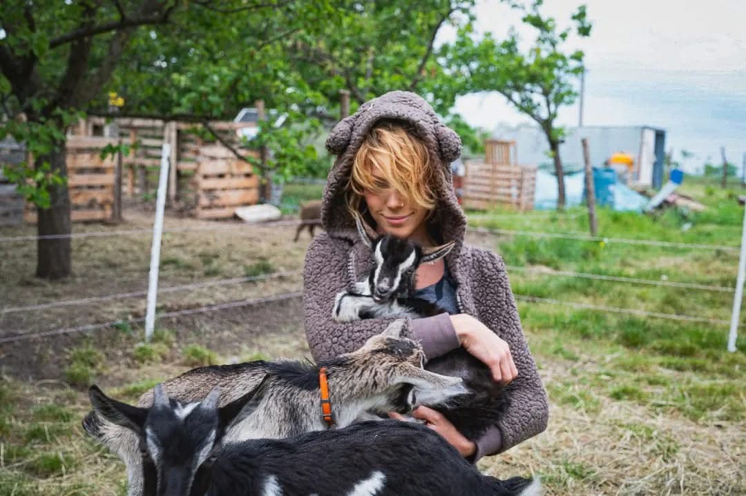 Black Sand Farm cover