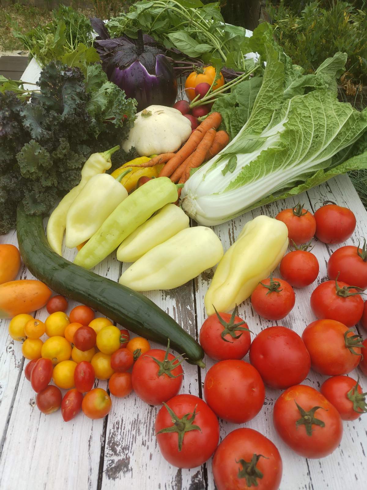 Kis szezonális zöldségkosár