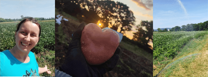 Ku-Kucs Ökokert cover